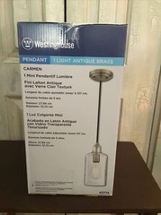 Westinghouse Lighting 6371400, Antique Brass Finish with Clear Textured Glass…