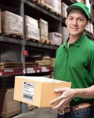 Nelko Genuine 4×6 Direct Thermal Shipping Label 220 Labels/1 Roll, 4×6, White