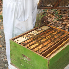 Bee Hive Frame Feeder 2 Pack 6.5L Beehive Feeder Deep Box Beekeeping