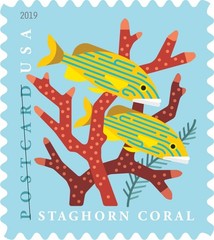 United States Postal Service Coral Reefs Postcard 5 Sheets Of 20 First Class
