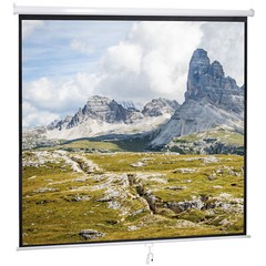 120” Projector Screen Diagonal TV Screen Manual Matte HD Movie Theater 1:1