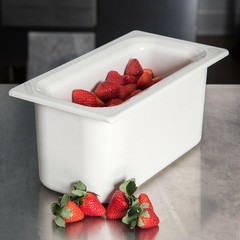 Carlisle FoodService Products CM110202 Coldmaster ABS Third Size Food Pan, 4 …