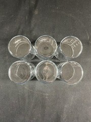 VWR 150mL Low Form Griffin Glass Graduated Beaker Standard 6PK 10754-950