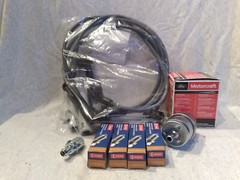 FORD LRG-425 GENIE JLG Snorkel Tune-up Kit Plugs Wires PCV Oil Fuel Filter 2.5L