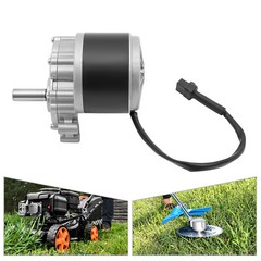 MY1016Z Electric Wheel Chair Brushed Gear Wheelchair DC Motor 250W 24V 75 RPM