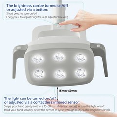Lámpara Dental de 9W con 6 LEDs y Luz Oral para Silla de Unidad