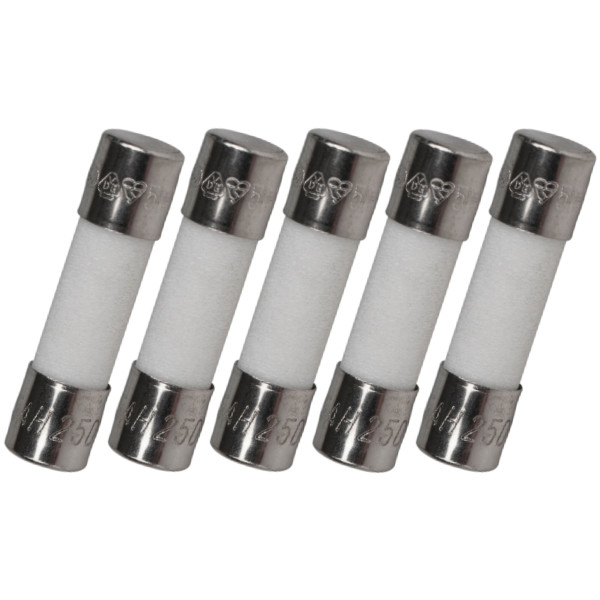 Pack of 5, 5X20mm 2A 125v/250v Fast Blow Ceramic Fuses, F2A, 2 amp (3/16 inch X