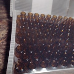 ThermoScientific SureStart Vial 2ml Amber Screw 9mm – 100 PER PACK – CHSV9-20P