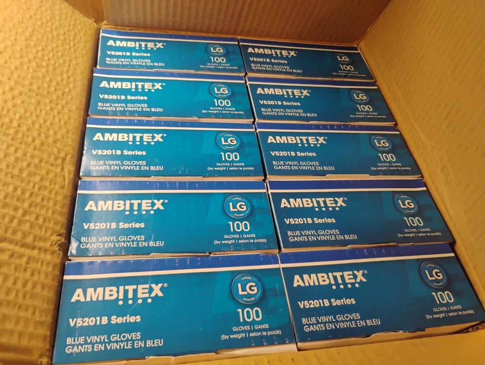 Case of 1000, Ambitex Large Blue Powder Free Vinyl Gloves V5201B V5201-LG