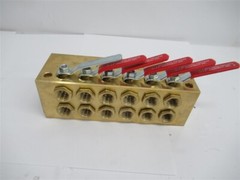 PPE SPSBR612 , 6 Pairs Of Circuits Brass Dual Single Point Setting Manifold