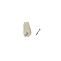 US Columbia Dentoform 860 Type Dental Typodont Model 32pcs Removable Teeth