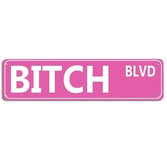 Retro Pink Tin Metal Sign – ‘BITCH BLVD’ – Bold Statement Decor for Home, Bar, o