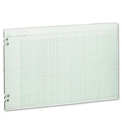 Wilson Jones Green Columnar Ruled Ledger Paper, 100 Count (Pack of 1),