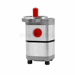 NEW Hydraulic Pump Double Acting Two Section for AGT-H15R Mini Excavators