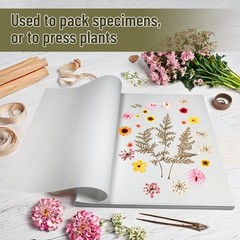 Lineco Acid-Free 25 Pack 11.5×16.5 Bookbinding Book Repair Paper Art Supply