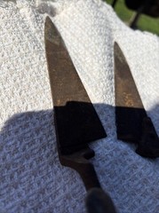 Vintage Antique Metal Shears 12″ Long Wool Sheep Goat Scissors Farm Ranch Tool