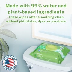 McKesson Flushable* Personal Wipe 7.5 x 12.5″ DXLU48 12 Pack 576 Wipes