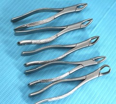 SET OF 5 GERMAN STAINLESS STEEL DENTAL EXTRACTING EXTRACTION FORCEPS A+ QUALITY