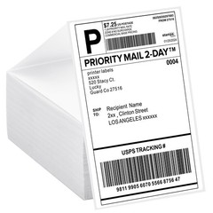 LuckyGuard 4×6 Thermal Labels Fanfold 500-Pack 1 Stack | 500 Labels, White