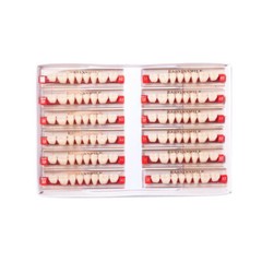 Dental False Teeth At Home Tooth Replacement Acrylic Resin Teeth Shade A1/A2/A3