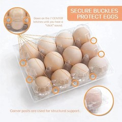 100 Packs Egg Cartons Cheap Bulk Plastic for 12 Eggs Clear Egg Cartons