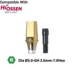 Titanium Straight Abutment Compatible with Osstem Hiossen TS Regular DIO UFII R