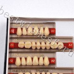 Acrylic Resin Denture Teeth VITA A2 – 23 Upper Lower Oral Dental 3 Set of 84*1
