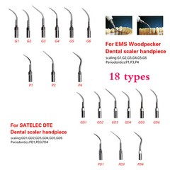5*Dental Ultrasonic Scaler Tips Fit EMS Woodpecker DTE Handpiece/ Wrench Key ns