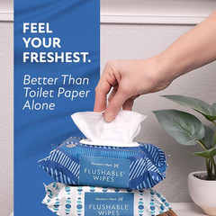 Member’s Mark Flushable Wipes, Fresh Scent, 540 Count