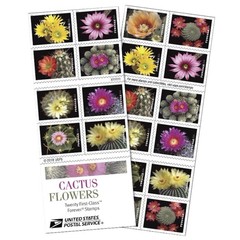United States Postal Service Cactus Flowers 5 Books Of 20 Forever First Class