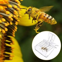 5PCS/Set Clear Queen Bee Catcher Clip Cage Catching Beekeeping Equipment Plastic