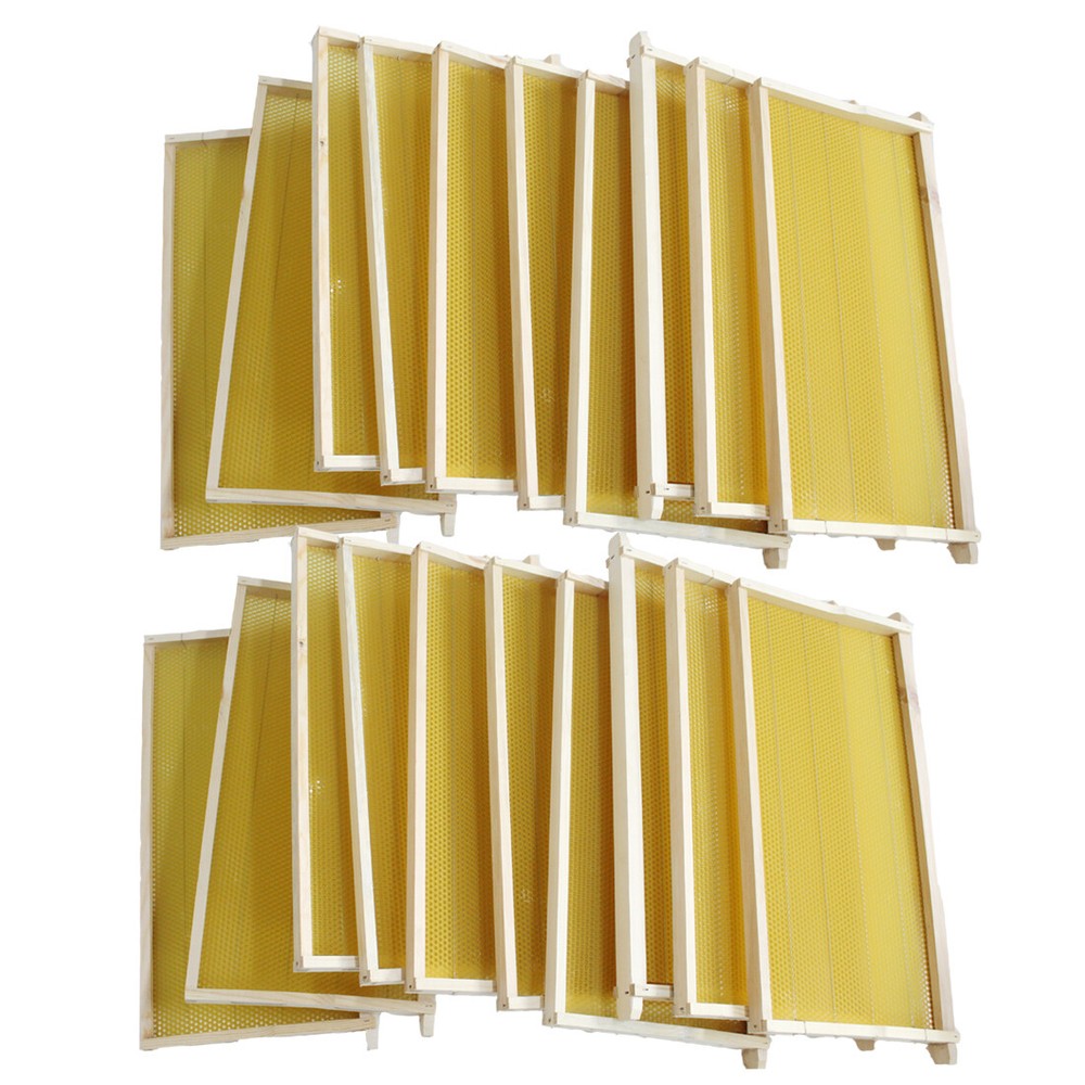 Assembled 20 Bee Foundation Deep Bee Hive Wax Foundation Bee Hive Frames w/ Wire