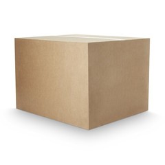 Coldkeepers LLC Extreme Insulated Mailer, 15 x 19 Inch, for Food Distribution, D