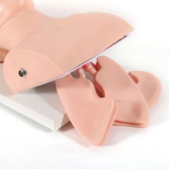 USA Adult Airway Management Trainer Lab Intubation Manikin Study Teaching Model