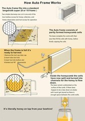 Improved 7 x Auto Beehive Frames Beekeeping Frames Bee Frames Beehive Frames