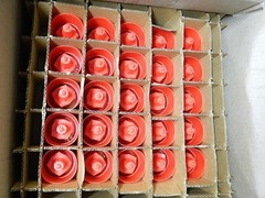 Reliable Fire Sprinkler Pendent Concealed G5-56 ( 25 – pieces ) 1/2″ NPT LOT # 2