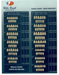 Dental Anterior & Posterior Complete Denture Partials Acrylic Resin Teeth Set