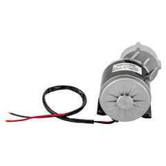 High Power 12V 250W Gear Reduction DC Motor For E-Bike Scooter ATV