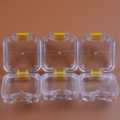 20pcs Denture False Teeth Membrane Case Container Hinged Display Box Jewelry USA