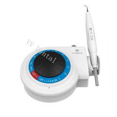 VVDental Dental Ultrasonic Piezo Scaler w/ Handpiece 5*Tips fit SATELEC Cavitron