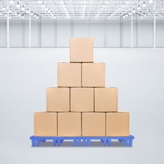Blue Pp Pallet 50*30*10cm Pallet Free Standing Anti-slip particle Floor Pallet