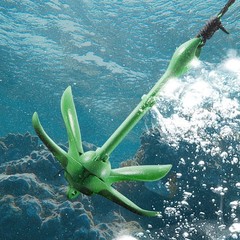 Kayak Anchor Kit, 3.5 lb Paddle Board Anchor Kit with 26.2 ft/8 m Rope and Buoy,