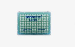 NEW SEALED Fisherbrand SureOne Filter 2-20 uL 4800/CS Pipet Tip (EXP 2028-06)