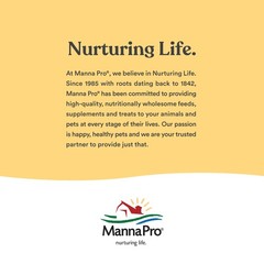 Manna Pro Chicken Grit with Probiotics – Crushed 5 Pound (Pack of 1), Clear