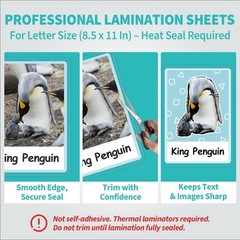 Letter Size Laminating Sheets, 8.5 x 11 Inches, Ultra Clear