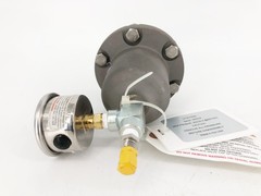New Blacoh CTS1020B Pulsation Dampener 1/2″ FNPT 300psi – No Box