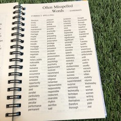Vintage 1995-97 Michael Stevens 12 Months Spiral Mini Planner 6”x4”clean