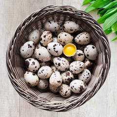 Fresh n Tasty Jumbo Coturnix Quail Eggs (2 dozen) FREE SHIPPING!!!