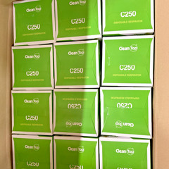 Clean Top Ever Green NIOSH N95 Particulate Respirators 1 CS/24 Boxes of 20
