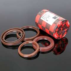 Metric TC Rotary Oil Shaft Seal FKM Fluorine Double Lip Seal 22mm – 26mm Shaft